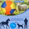 AIERSA Herding Ball for Dogs, Large Dog Ball with Handles for Outdoor Play, Indestructible Training Toy Balls for Australian Shepherd, Interactive Toy Balls for Medium & Large Dogs