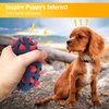 CoubonTail Dog Toy Ball, Dog Spiky Toy Ball with Squeaker, for Floating Chewing Fetching and Interactive Play (2pc Kit)