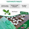 Zero Waste Toothpaste Tablets with Fluoride - Vegan & Eco Friendly Travel Toothpaste Tablets for Healthy Teeth & Fresh Breath - 60 Count by Pure Earth Essentials