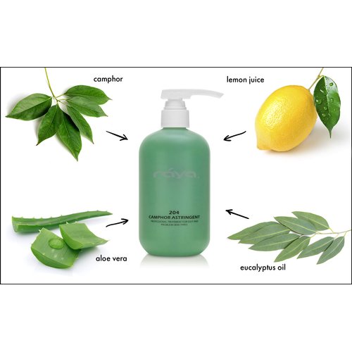 RAYA Camphor Astringent 16 oz (204) | Effective Facial Toner for Oily and Break-Out Skin | Helps Dry Up Blemishes and Control Excessive Oiliness | Made with Camphor and Eucalyptus