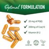 PQQ Supplement 20mg | Mitochondrial Biogenesis & Energy Optimizer With CoQ10 & Vitamin B12 | Supports Brain Health & Mitochondria Production | Ultra PQQ Formula | Vegan, Gluten-Free | 60 Capsules