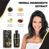 Lazibudgha Black Hair Dye Shampoo 3 in 1，Champu para canas - Herbal Ingredients Natural Plant for Grey Hair in Minutes 350 ML (black)