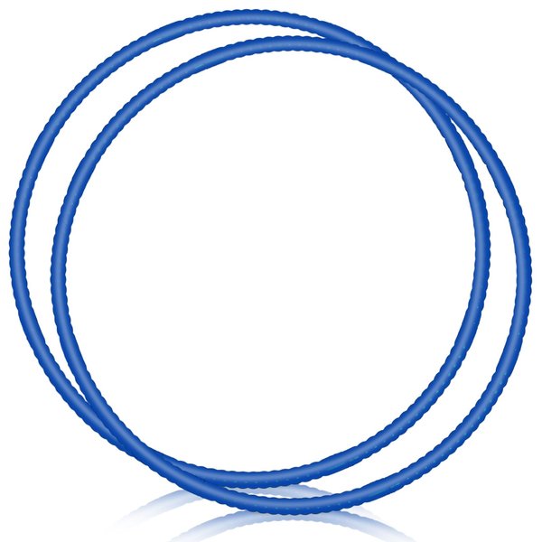 WinnerWhy 2 Pcs Toy Hoop Exercise Hoop Detachable Adjustable Plastic Hoop Playground Equipment for School Colored Hoop Circles Exercise Ring for Teens Dog Agility Equipment(Royal Blue,20 Inch)