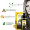 500ml Ginger Black Hair Shampoo, Ginger Shampoo Fast Black Hair Hair Color Dye Nourishing Shampoo, 2-in-1 Semi Permanent Shampoo Last 30 days,5 Minutes Finsh