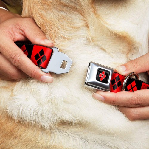 Buckle-Down Seatbelt Buckle Dog Collar - Harley Quinn Diamond Blocks Red/Black Black/Red - 1" Wide - Fits 9-15" Neck - Small