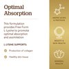 Solgar L-Lysine 500 mg, 250 Vegetable Capsules - Enhanced Absorption & Assimilation - Promotes Integrity of Skin & Lips - Collagen Support - Amino Acids - Non-GMO, Vegan, Gluten Free - 250 Servings