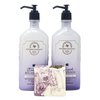 Bath & Body Works Aromatherapy Steeped Relaxation Lavender + Mint + Tea 2 Pack Moisturizing Body Lotion Gift Set with a Lavender Dream Bar Soap - Full Size