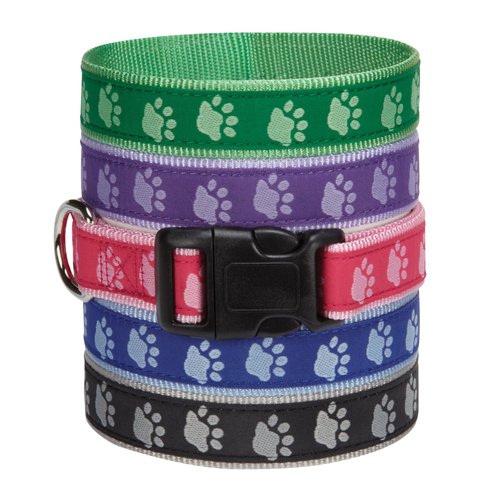 Guardian Gear Nylon Two-Tone Pawprint Dog Collar, Fits Necks 10" to 16", Green
