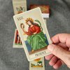 Da Brigh Minchiate Tarot Cards Deck, Classic Minchiate Tarot, 97 Cards with Upright & Reversed Meaning, 19 Extra Trumps, Durable 350 GSM Paper, Standard Size Digital Booklet