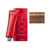 Schwarzkopf Igora Royal Permanent Hair Color - 7-65 Medium Auburn Gold Blonde