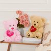 BENINY 12" Teddy Bear with Heart, Cute Brown Teddy Bear Stuffed Animals for Valentines Day Soft Bear Plushie Toy Stuffed Bear Plush Gifts for Girlfriend Kid
