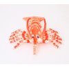 GracesDawn Plush Lobster Stuffed Animals, Australian Lobster Doll, Pillow, Plush Toys, Healing Animal Image That Fills People with Courage and Appetite (23.6 inches Long red)