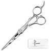 Wet and Dry Cut Professional Hair Cutting Scissors Barber Shears Japanese Aichi SUS440C Stainless Steel Salon 6 Inch Haircut Tijeras de Peluqueria Shintou