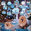 HOWAF 30pcs Winter Party Hanging Swirls, Winter Wonderland Decorations Snowflake Snowman Foil Swirls for Winter Christmas Party Supplies, Winter Theme Ceiling Swirls It's Snowing Party Supplies