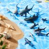 15 Pcs Shark Toys Plastic Assorted Ocean Animal Shark Figurine Realistic Shark Bath Toys Sea Creature Toys Shark Figures Marine Animal Figurines for Kids Birthday Party Favor Cake Topper Cognitive Toy