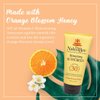 The Naked Bee Vitamin C Face & Body Sunscreen Protection (5.5 Oz) - Suncreen Moisturizing Vitamin C Cream - Sunblock - Sunflower Oil & Aloe with Spf 30