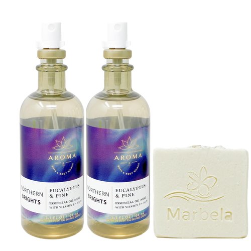 Bath & Body Works Aromatherapy Northern Brights Eucalyptus & Pine - Pack of Two - Oil Mist With a Natural Oats Soap.