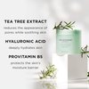 The Face Shop Tea Tree Toner Pads - Improve Uneven Skin Tone, Pore Minimizer - Exfoliating Dual Sided Toner Pad - AHA, BHA, PHA, Hyaluronic Acid - Cotton Facial Pad - Korean Toner - Korean Skin Care