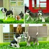 EYSCOTA 12PCS Dog Figurines Playset, Realistic Detailed Plastic Puppy Figures, Hand Painted Mini Dog Figures Toy Set Cake Toppers Birthday for Kids Toddlers