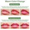 3 Pack Aloe Vera Lipstick,Long Lasting Nutritious Tinted Lip Balm Natural Moisturizer Magic Temperature Color Change Lip Gloss
