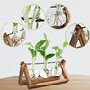Renmxj Plant Propagation Station, Plant Terrarium with Wooden Stand, Unique Gardening Birthday Gifts for Women Plant Lovers, Home Office Garden Decor Planter - 3 Bulb Glass Vases