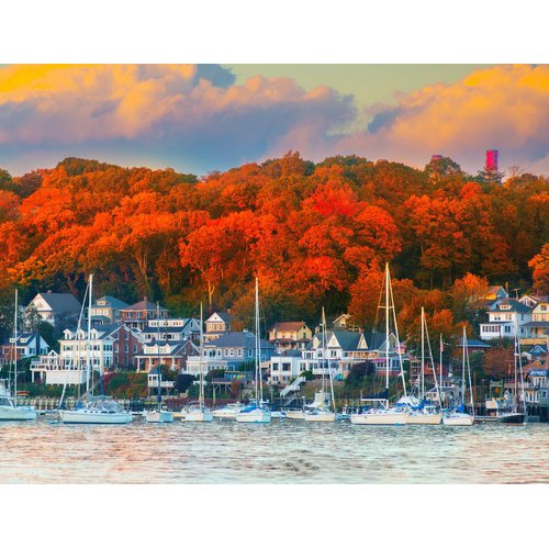 Springbok's Harbor in The Fall 500 Piece Puzzle for Adults Shows The Beauty of This Northeastern Habor in Fall Colors