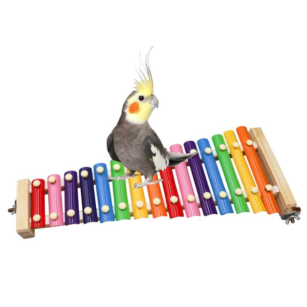 Jinkoozz Colorful Bird Xylophone Toy, Funny Xylophone Toy with 8 Metal Keys, Bird Cage Toy Accessories for Chicken Bird Parrot Parrot Parakeet Budgies Love Birds