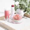 Physician's Formula, Inc. - Organic Wear Lip Polish - Exfoliating Lip Scrub with Skin-Nourishing, Organic Ingredients for Lip Care - Lip Treatment for Dry and Cracked Lips - Hypoallergenic Formula