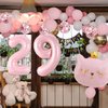 Cat Birthday Decorations, Cat Balloons, Pink 29 Balloon Numbers 40 inch, Cat Themed Birthday Party Decorations, 29 Balloons for Girls Birthday Party Decorations