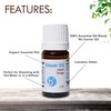 Baraka Steam Oil 100% Natural Pure Aromatherapy Essential Oil with Camphor, Niaouli, & Eucalyptus - Essential Oil for Diffuser, Humidifiers, & Steam Water for chest & nasal congestion -5ml (Pack of 2)