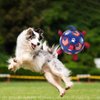 ShuRung 4th July Theme Soccer Ball Dog Toy with Straps Dog Interactive Play Balls for Tug of War USA Independence Day Dog Soccer Ball for Small Medium Big Size Dog (6 inches) S
