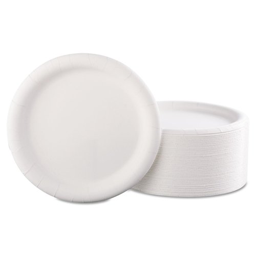 AJM CP9AJCWWH14 Premium Coated Paper Plates 9-Inch dia White 125/Pack 4 Packs/Carton