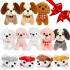 TMWK 12 Pack Dog Stuffed Animals, Stocking Stuffers for Kids, Toddler Stocking Stuffers, 4.8 Inch Small Stuffed Animals Bulk, Assorted Puppy Stuffed Animals