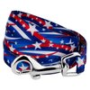 Country Brook Petz - 1/2 Inch Star Spangled Dog Leash - 4 Feet