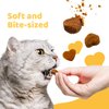 iPaw Soft Cat Treats for Indoor Cats, Healthy Kitten Snacks with Probiotics, Grain Free, Easy to Digest (Chicken and Tuna)