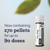 Rhus Toxicodendron 200C Homeopathic Remedy, 270 Pellets