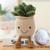 XZJMY 1Pack Succulents Plush Toy,Potted Plant Stuffed Plush Pillow Decoration,Cute Plants Plush Toy, Plush Toy Gift for Kids Girls (Khaki,Succulents)