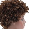 Ms Taj Short Afro Kinky Curly Human Hair Wigs for Black Women Brazilian Virgin Short Curly Afro Wigs None Lace 150% Density Unprocessed Afro Wig Human Hair Curly Machine Made (FS 4/30#, afro wig)