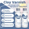 1DFAUL Air Dry Clay Glaze Kit, 2 x 100ml Gloss Matte Clay Varnish for Air Drying Clay, Air Dry Clay Varnish for Craft Pottery Water Proof, Gloss Finish, Scratch Resistant