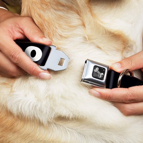 Dog Collar Seatbelt Buckle YOLO Bold Black White 9 to 15 Inches 1.0 Inch Wide