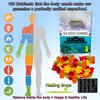 Sea Moss Gummies - Irish Sea Moss - Raw Organic Wildcrafted Sun-Dried Seamoss Powder and Gel - with Bladderwrack Burdock Root – Alkaline Keto Vegan Non-GMO Diet – Skin & Detox (Assorti)