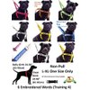 Friendly Green Color Coded S-M L-XL Buckle Dog Collar (Known As Friendly) Prevents Accidents by Warning Others of Your Dog in Advance (L-XL 15-25" Lx1.5 W)