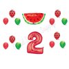 WATERMELON Second 2nd Birthday Party Balloons Decoration Supplies Tutti Fruiti