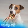 Kats'N Us Dog Treats Chewy Rope Ball Knot Dog Toy for Teething - Durable, Long-Lasting Chewy Toys for Puppies and Small Breeds - Puppy Essentials Interactive Dog Toy for Teething Relief, Multi-Color