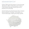 Pure Body Naturals Bentonite Clay Powder for DIY Detox Body & Face Mask, Pure Indian Healing Clay for Deep Pore Cleansing and Armpit Detox for Women, (8.0 oz)