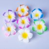 Flower Hair Clips Hawaiian Hawaii Hair Clip Set Plumeria Hibiscus Barrettes Women Girls Baby Foam Wedding Vacation Beach Party Decorations Cosplay Costume Handmade Hair Accessories Plumeria 16 Pack