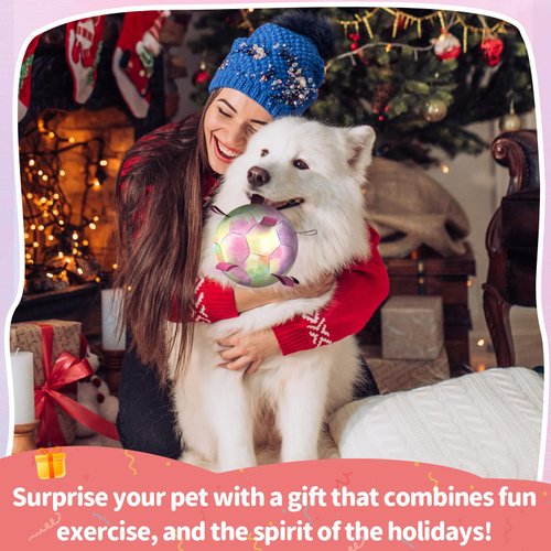 QDAN Dog Toys Soccer Ball with Straps, Puppy Balls Dog Balls for Small Medium Dogs, Dog Water Toys Pool Toys, Puppy Dog Birthday Gifts, Rainbow（6 Inch）