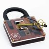 The Einstein Collection Lock Puzzle - Tricky Padlock Brain Game - Professor Puzzle 3D Brain Teaser Puzzles