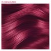 Adore Semi Permanent Hair Color - Vegan and Cruelty-Free Hair Dye - 4 Fl Oz - 070 Raging Red (Pack of 1)