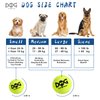 insum Squeaky Tennis Balls for Dogs Colorful Easy Catching Pet Dog Balls 12 Pack (2.0inch-6colors)